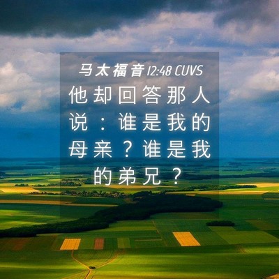Picture 04 - 马 太 福 音 12:48 CUVS - 他 却 回 答 那 人 说 ： 谁 是 我 的 - Bible Verse Picture
