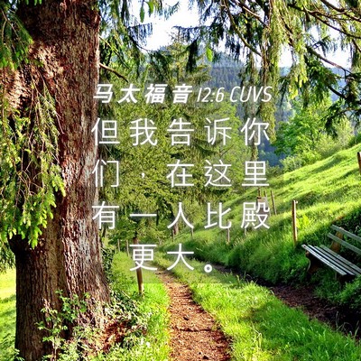 Picture 04 - 马 太 福 音 12:6 CUVS - 但 我 告 诉 你 们 ， 在 这 里 有 一 - Bible Verse Picture