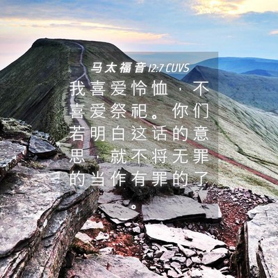 Picture 04 - 马 太 福 音 12:7 CUVS - 我 喜 爱 怜 恤 ， 不 喜 爱 祭 祀 。 - Bible Verse Picture
