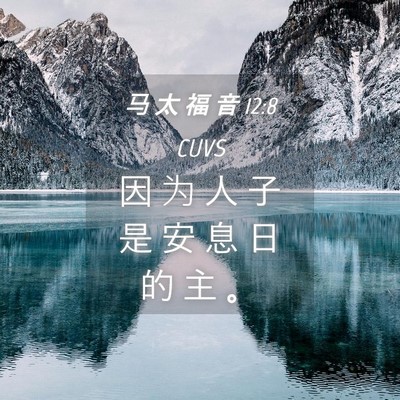 Picture 04 - 马 太 福 音 12:8 CUVS - 因 为 人 子 是 安 息 日 的 主 - Bible Verse Picture