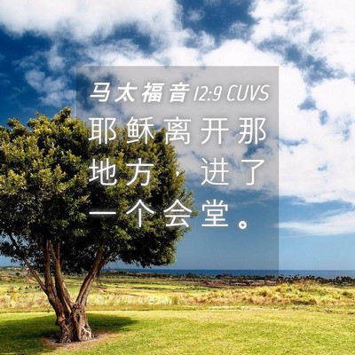 Picture 04 - 马 太 福 音 12:9 CUVS - 耶 稣 离 开 那 地 方 ， 进 了 一 个 - Bible Verse Picture