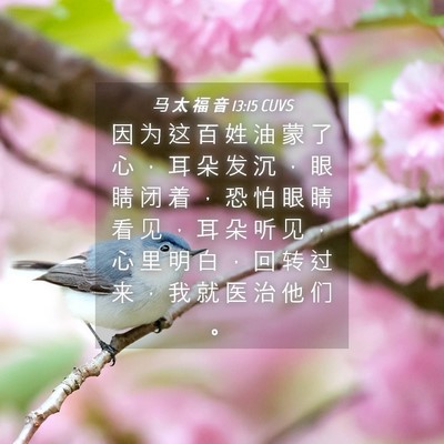 Picture 04 - 马 太 福 音 13:15 CUVS - 因 为 这 百 姓 油 蒙 了 心 ， 耳 朵 - Bible Verse Picture
