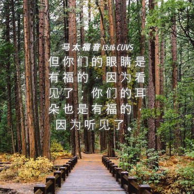 Picture 04 - 马 太 福 音 13:16 CUVS - 但 你 们 的 眼 睛 是 有 福 的 ， 因 - Bible Verse Picture