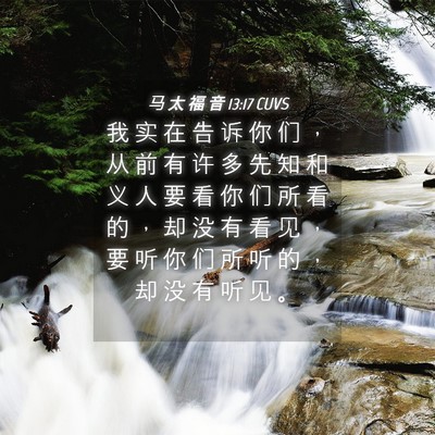 Picture 04 - 马 太 福 音 13:17 CUVS - 我 实 在 告 诉 你 们 ， 从 前 有 许 - Bible Verse Picture