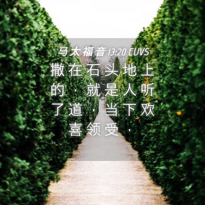 Picture 04 - 马 太 福 音 13:20 CUVS - 撒 在 石 头 地 上 的 ， 就 是 人 听 - Bible Verse Picture