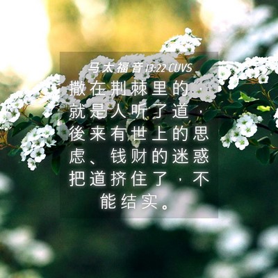 Picture 04 - 马 太 福 音 13:22 CUVS - 撒 在 荆 棘 里 的 ， 就 是 人 听 了 - Bible Verse Picture