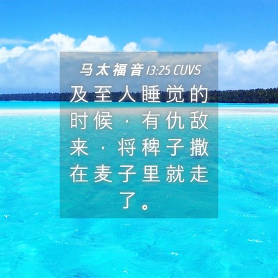 Picture 04 - 马 太 福 音 13:25 CUVS - 及 至 人 睡 觉 的 时 候 ， 有 仇 敌 - Bible Verse Picture