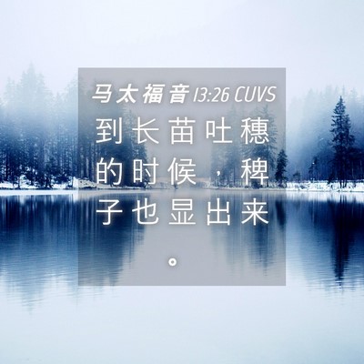 Picture 04 - 马 太 福 音 13:26 CUVS - 到 长 苗 吐 穗 的 时 候 ， 稗 子 也 - Bible Verse Picture