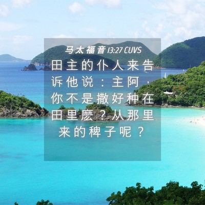 Picture 04 - 马 太 福 音 13:27 CUVS - 田 主 的 仆 人 来 告 诉 他 说 ： 主 - Bible Verse Picture