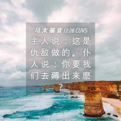 Picture 04 - 马 太 福 音 13:28 CUVS - 主 人 说 ： 这 是 仇 敌 做 的 。 仆 - Bible Verse Picture