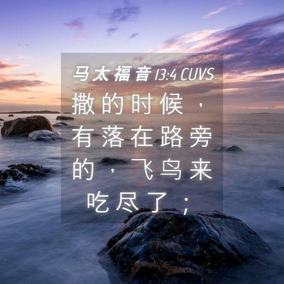Picture 04 - 马 太 福 音 13:4 CUVS - 撒 的 时 候 ， 有 落 在 路 旁 的 ， - Bible Verse Picture