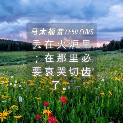 Picture 04 - 马 太 福 音 13:50 CUVS - 丢 在 火 炉 里 ； 在 那 里 必 要 哀 - Bible Verse Picture