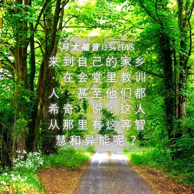 Picture 04 - 马 太 福 音 13:54 CUVS - 来 到 自 己 的 家 乡 ， 在 会 堂 里 - Bible Verse Picture