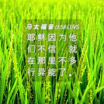 Picture 04 - 马 太 福 音 13:58 CUVS - 耶 稣 因 为 他 们 不 信 ， 就 在 那 - Bible Verse Picture