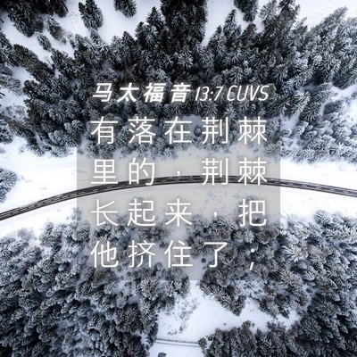 Picture 04 - 马 太 福 音 13:7 CUVS - 有 落 在 荆 棘 里 的 ， 荆 棘 长 起 - Bible Verse Picture