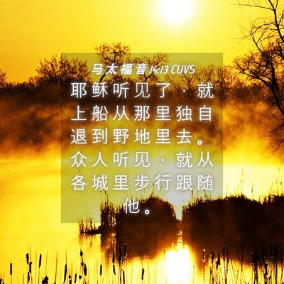 Picture 04 - 马 太 福 音 14:13 CUVS - 耶 稣 听 见 了 ， 就 上 船 从 那 里 - Bible Verse Picture