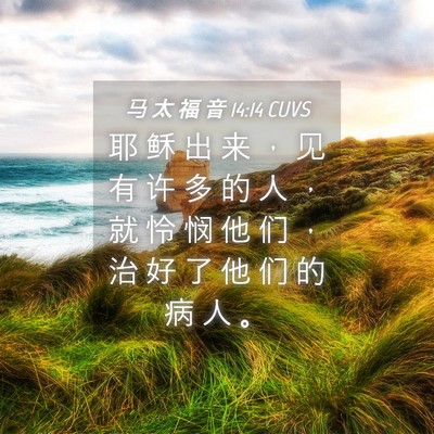 Picture 04 - 马 太 福 音 14:14 CUVS - 耶 稣 出 来 ， 见 有 许 多 的 人 ， - Bible Verse Picture