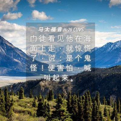 Picture 04 - 马 太 福 音 14:26 CUVS - 门 徒 看 见 他 在 海 面 上 走 ， 就 - Bible Verse Picture