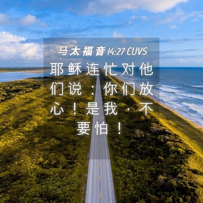 Picture 04 - 马 太 福 音 14:27 CUVS - 耶 稣 连 忙 对 他 们 说 ： 你 们 放 - Bible Verse Picture