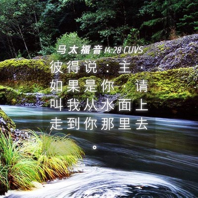 Picture 04 - 马 太 福 音 14:28 CUVS - 彼 得 说 ： 主 ， 如 果 是 你 ， 请 - Bible Verse Picture