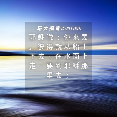 Picture 04 - 马 太 福 音 14:29 CUVS - 耶 稣 说 ： 你 来 罢 。 彼 得 就 从 - Bible Verse Picture