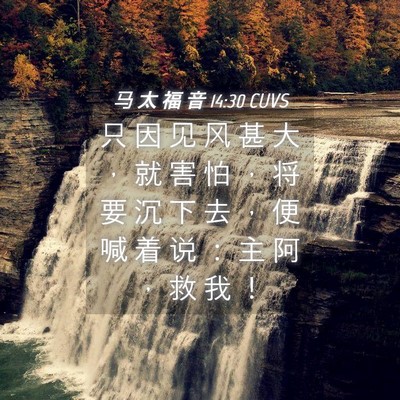 Picture 04 - 马 太 福 音 14:30 CUVS - 只 因 见 风 甚 大 ， 就 害 怕 ， 将 - Bible Verse Picture