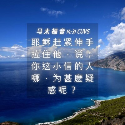 Picture 04 - 马 太 福 音 14:31 CUVS - 耶 稣 赶 紧 伸 手 拉 住 他 ， 说 ： - Bible Verse Picture
