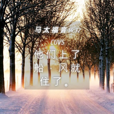 Picture 04 - 马 太 福 音 14:32 CUVS - 他 们 上 了 船 ， 风 就 住 了 - Bible Verse Picture