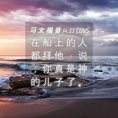 Picture 04 - 马 太 福 音 14:33 CUVS - 在 船 上 的 人 都 拜 他 ， 说 ： 你 - Bible Verse Picture