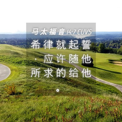 Picture 04 - 马 太 福 音 14:7 CUVS - 希 律 就 起 誓 ， 应 许 随 他 所 求 - Bible Verse Picture