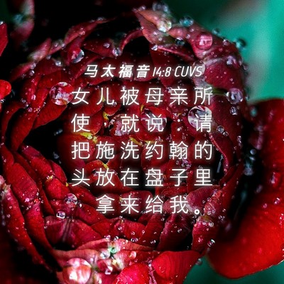 Picture 04 - 马 太 福 音 14:8 CUVS - 女 儿 被 母 亲 所 使 ， 就 说 ： 请 - Bible Verse Picture