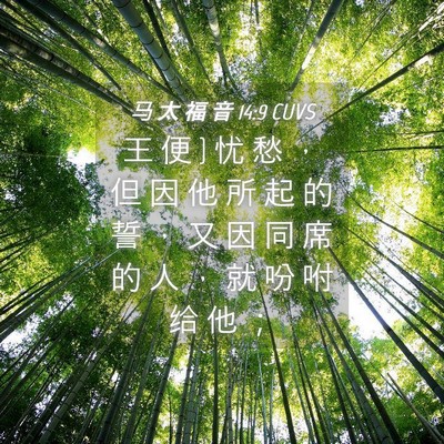 Picture 04 - 马 太 福 音 14:9 CUVS - 王 便 } 忧 愁 ， 但 因 他 所 起 的 誓 - Bible Verse Picture
