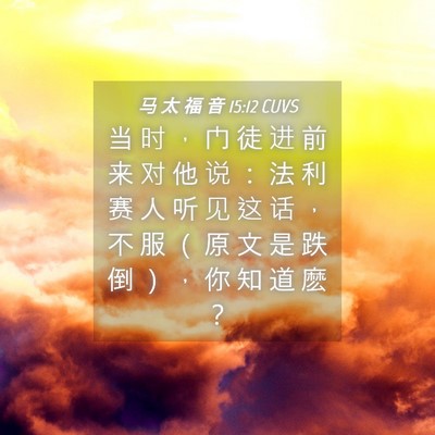 Picture 04 - 马 太 福 音 15:12 CUVS - 当 时 ， 门 徒 进 前 来 对 他 说 ： - Bible Verse Picture