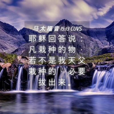 Picture 04 - 马 太 福 音 15:13 CUVS - 耶 稣 回 答 说 ： 凡 栽 种 的 物 ， - Bible Verse Picture