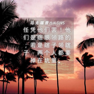 Picture 04 - 马 太 福 音 15:14 CUVS - 任 凭 他 们 罢 ！ 他 们 是 瞎 眼 领 - Bible Verse Picture