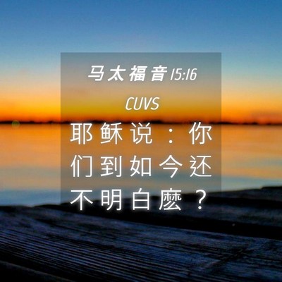 Picture 04 - 马 太 福 音 15:16 CUVS - 耶 稣 说 ： 你 们 到 如 今 还 不 明 - Bible Verse Picture