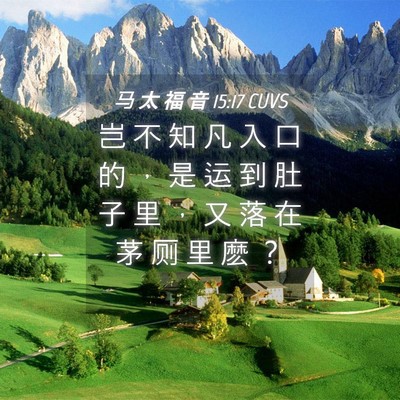 Picture 04 - 马 太 福 音 15:17 CUVS - 岂 不 知 凡 入 口 的 ， 是 运 到 肚 - Bible Verse Picture