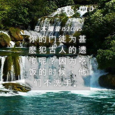 Picture 04 - 马 太 福 音 15:2 CUVS - 你 的 门 徒 为 甚 麽 犯 古 人 的 遗 - Bible Verse Picture