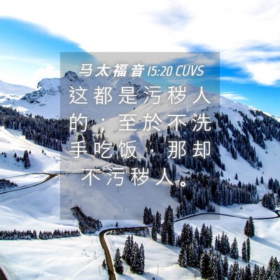 Picture 04 - 马 太 福 音 15:20 CUVS - 这 都 是 污 秽 人 的 ； 至 於 不 洗 - Bible Verse Picture