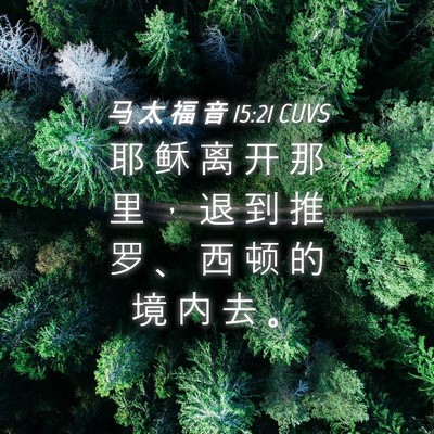 Picture 04 - 马 太 福 音 15:21 CUVS - 耶 稣 离 开 那 里 ， 退 到 推 罗 、 - Bible Verse Picture
