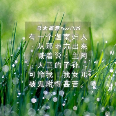 Picture 04 - 马 太 福 音 15:22 CUVS - 有 一 个 迦 南 妇 人 ， 从 那 地 方 - Bible Verse Picture