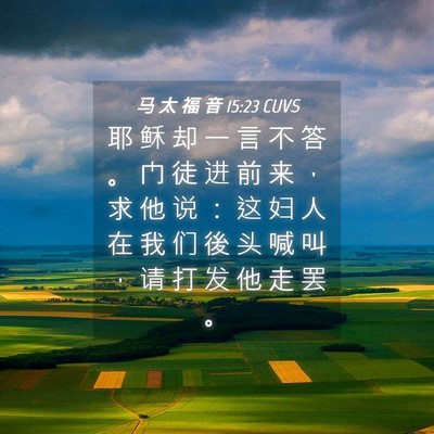 Picture 04 - 马 太 福 音 15:23 CUVS - 耶 稣 却 一 言 不 答 。 门 徒 进 前 - Bible Verse Picture