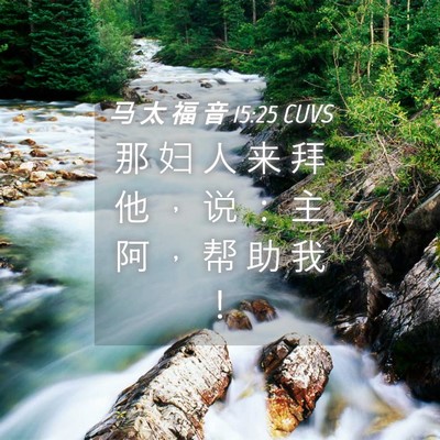 Picture 04 - 马 太 福 音 15:25 CUVS - 那 妇 人 来 拜 他 ， 说 ： 主 阿 ， - Bible Verse Picture