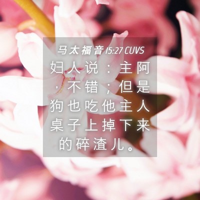Picture 04 - 马 太 福 音 15:27 CUVS - 妇 人 说 ： 主 阿 ， 不 错 ； 但 是 - Bible Verse Picture