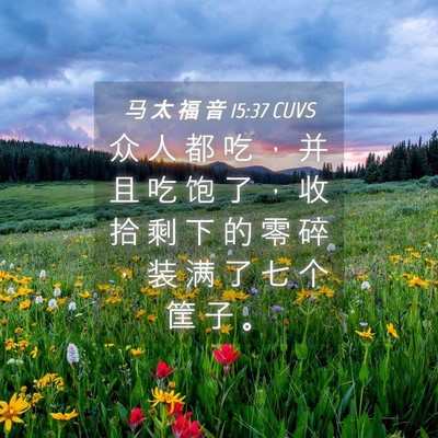 Picture 04 - 马 太 福 音 15:37 CUVS - 众 人 都 吃 ， 并 且 吃 饱 了 ， 收 - Bible Verse Picture