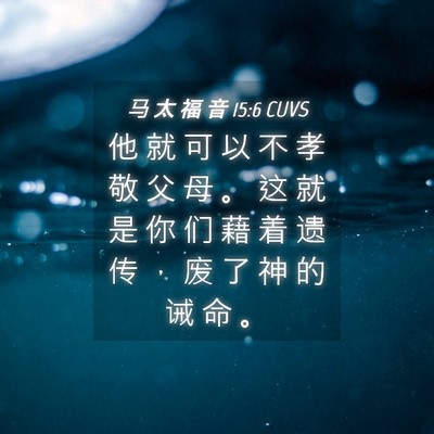 Picture 04 - 马 太 福 音 15:6 CUVS - 他 就 可 以 不 孝 敬 父 母 。 这 就 - Bible Verse Picture