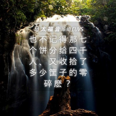 Picture 04 - 马 太 福 音 16:10 CUVS - 也 不 记 得 那 七 个 饼 分 给 四 千 - Bible Verse Picture