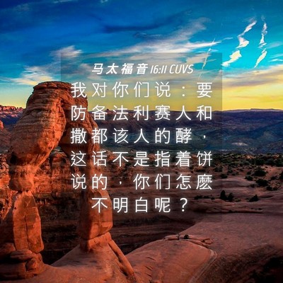 Picture 04 - 马 太 福 音 16:11 CUVS - 我 对 你 们 说 ： 要 防 备 法 利 赛 - Bible Verse Picture