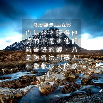 Picture 04 - 马 太 福 音 16:12 CUVS - 门 徒 这 才 晓 得 他 说 的 不 是 叫 - Bible Verse Picture