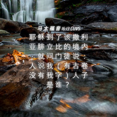 Picture 04 - 马 太 福 音 16:13 CUVS - 耶 稣 到 了 该 撒 利 亚 腓 立 比 的 - Bible Verse Picture